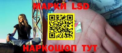 стаф Донской