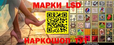 стаф Донской
