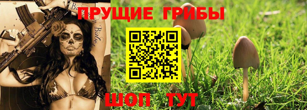 Галлюциногенные грибы MAGIC MUSHROOMS Муравленко