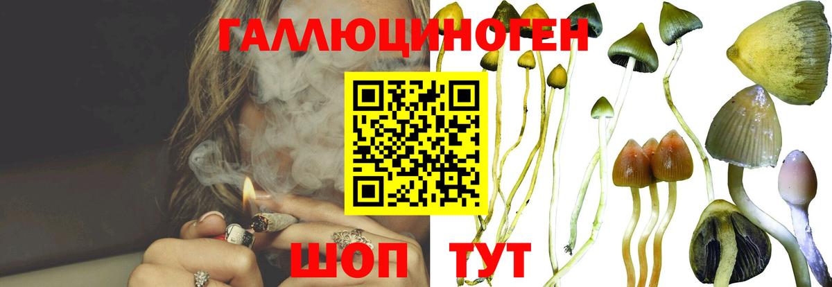 Муравленко  Псилоцибиновые грибы GOLDEN TEACHER  Вход с VPN  Галлюциногенные грибы Magic Shrooms 